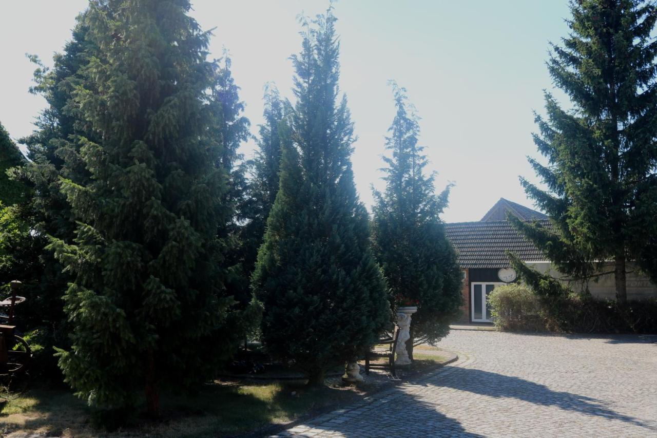 Spreewaldhotel Garni Raddusch Vetschau Exteriér fotografie