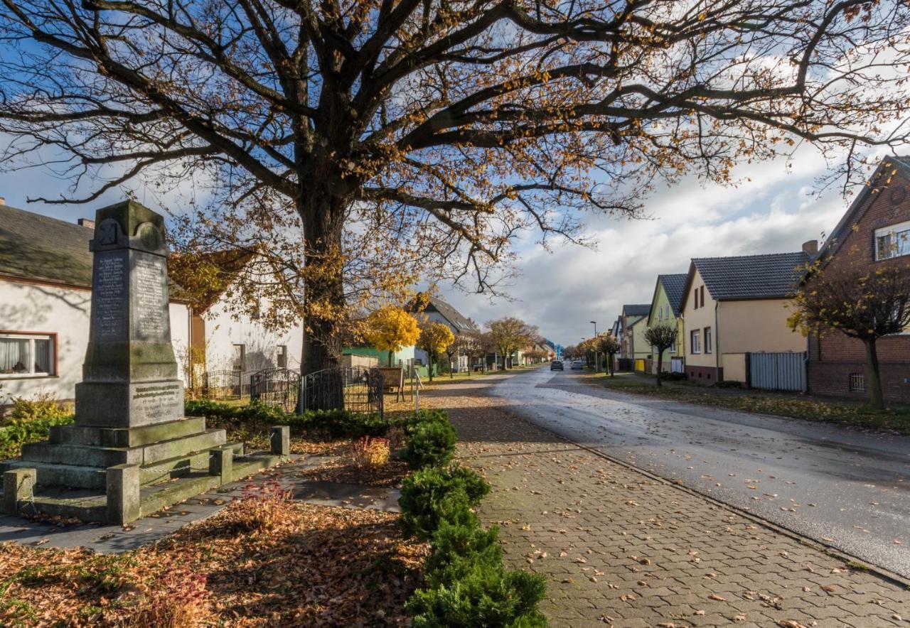 Spreewaldhotel Garni Raddusch Vetschau Exteriér fotografie